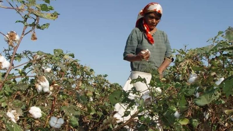 UATRE saluda a la mujer rural en su día