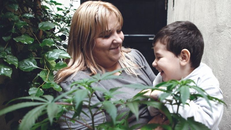 El carnet que se debe tramitar para transportar, cultivar y consumir cannabis