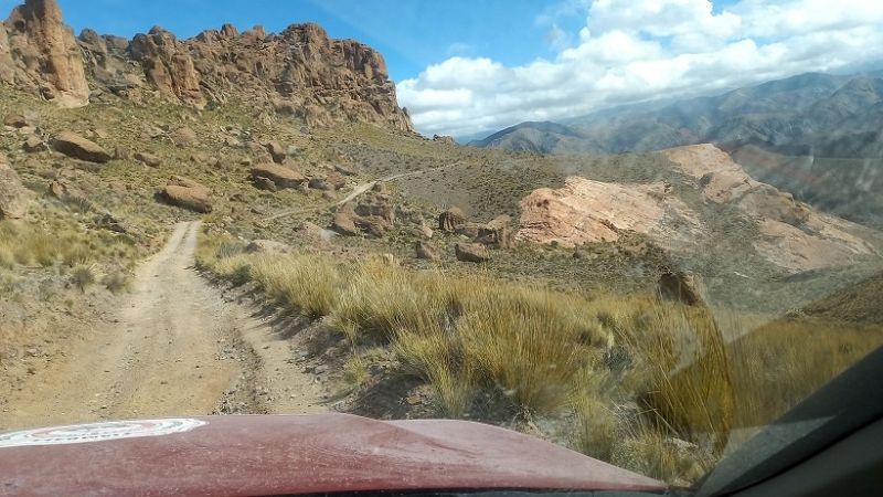 Bomberos de Fiambalá rescataron a turista
