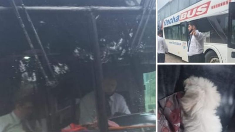 La bajaron por llevar un perrito en el colectivo
