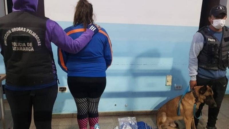 En distintos procedimientos secuestran marihuana y cocaína