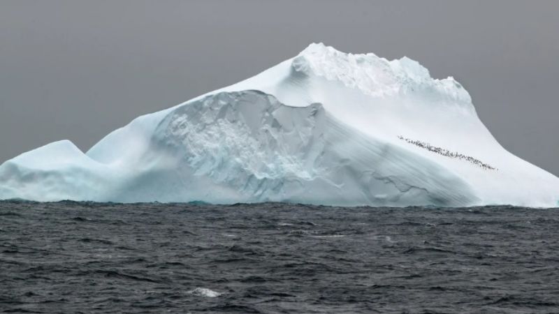 Antártida en peligro