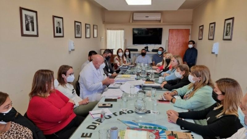 El Director de OSEP se reunió con la Comisión de Salud de Diputados