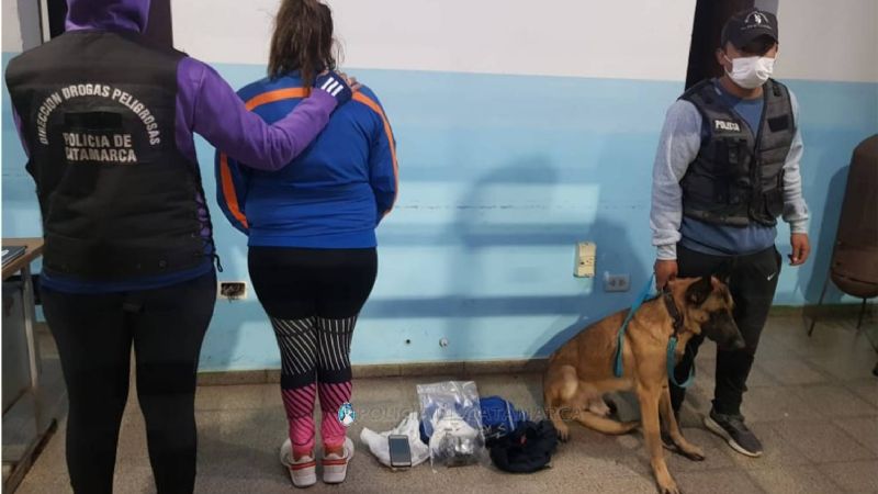 Encontraron droga en un colectivo  que venía de Tucumán