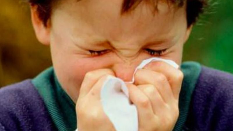 Qué es el rinovirus, el virus que circula junto al COVID-19 y afecta a los niños