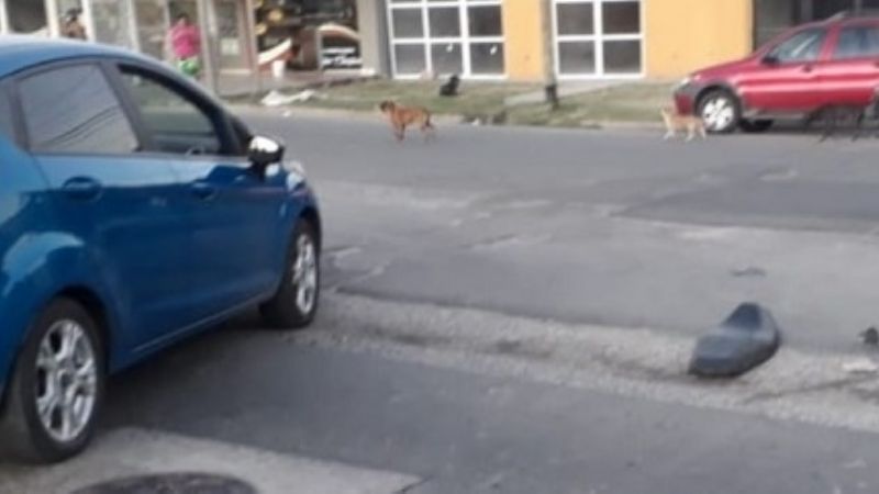 Motociclista lesionado en un violento choque