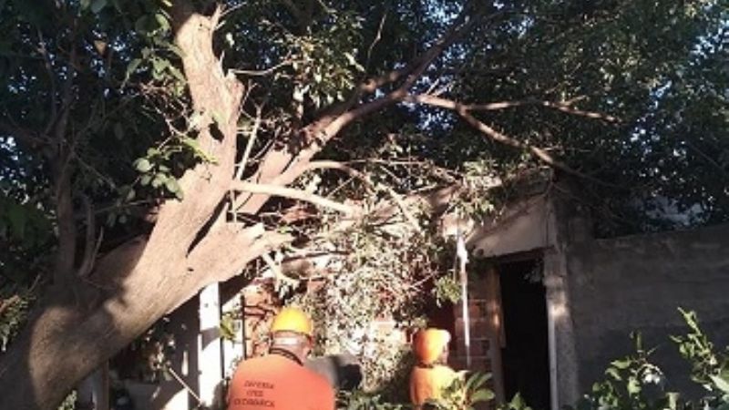 Rescatan a un auto que quedó atascado en una zanja