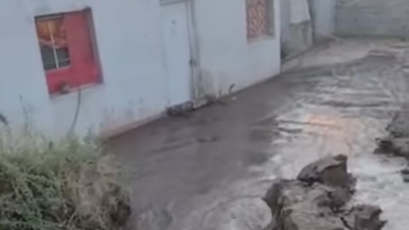 Se cayó un poste en Barrio Villa Eumelia