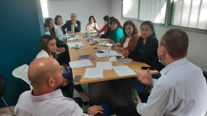 Se reunió la comisión de Mujer , Género y Diversidad del Senado