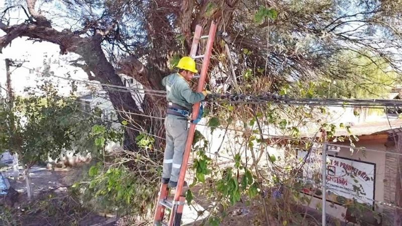 Viento zonda causó daños en Tinogasta