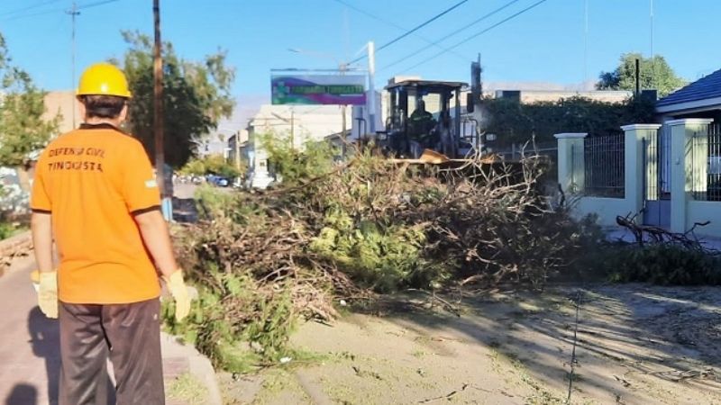 Viento zonda causó daños en Tinogasta