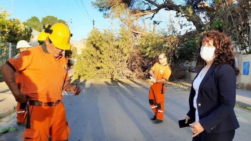 Viento zonda causó daños en Tinogasta