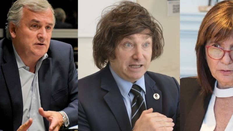 Milei agita y divide aguas en Juntos por el Cambio