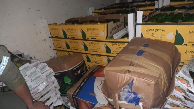 Ruta 157: secuestran 95 kilos de hojas de coca escondidas entre frutas y verduras