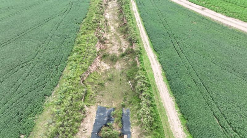 Buscan reforestar márgenes de ríos para evitar desastres naturales