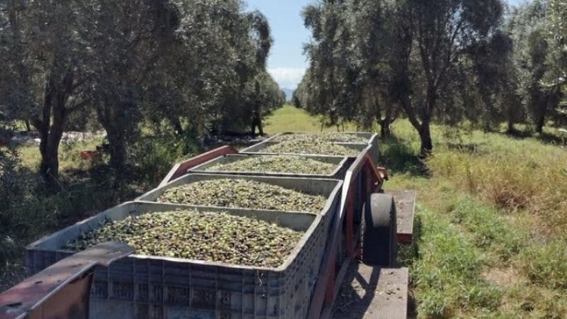 UATRE y OSPRERA al lado de la familia rural
