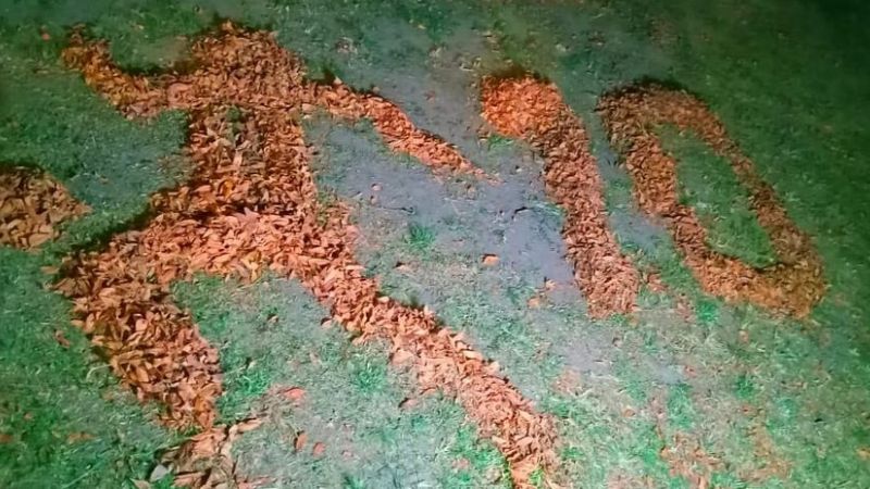 La increíble imagen de Maradona hecha con hojas de árbol