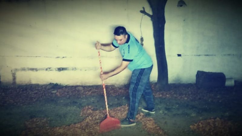 La increíble imagen de Maradona hecha con hojas de árbol