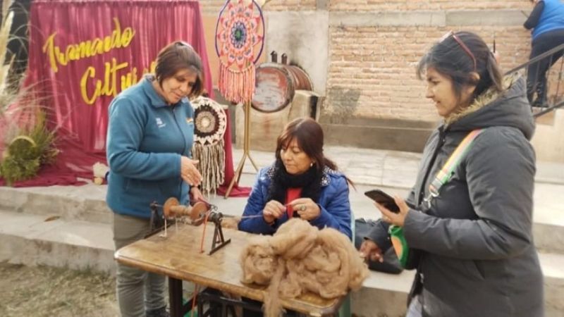 "Arañitas Hilanderas" en San José