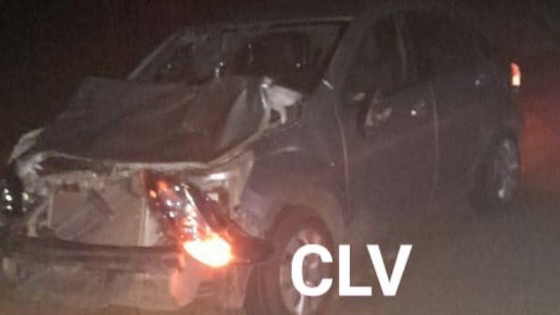 Chocó contra un animal en la ruta