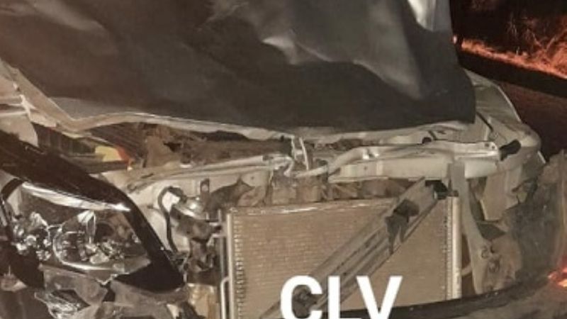 Chocó contra un animal en la ruta