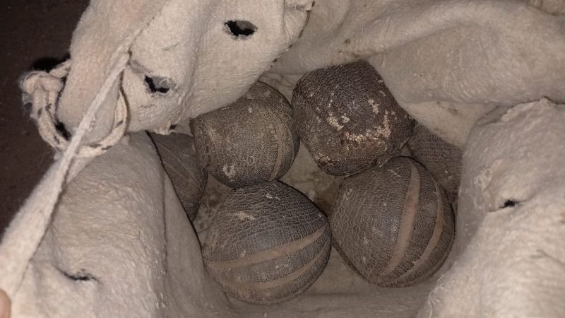 Gendarmes liberan a 31 quirquinchos que eran trasladados ilegalmente por cuatro motociclistas