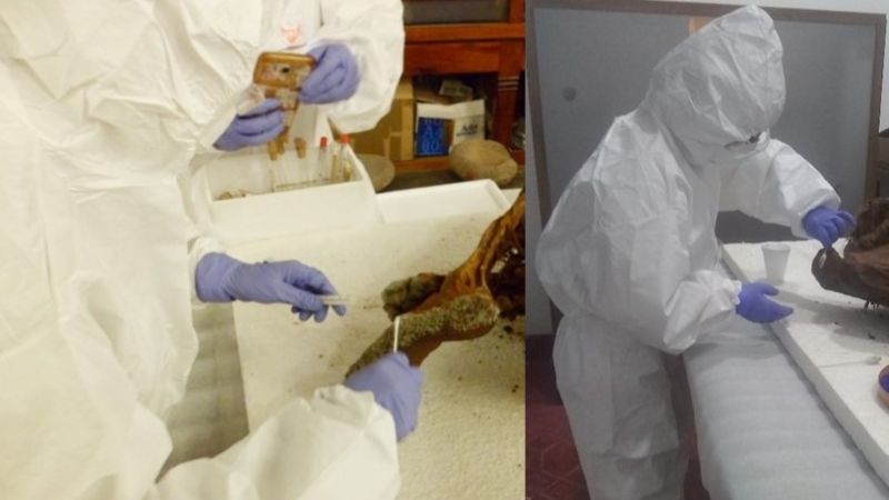 Taller de Buenas Prácticas de Conservación en Museos