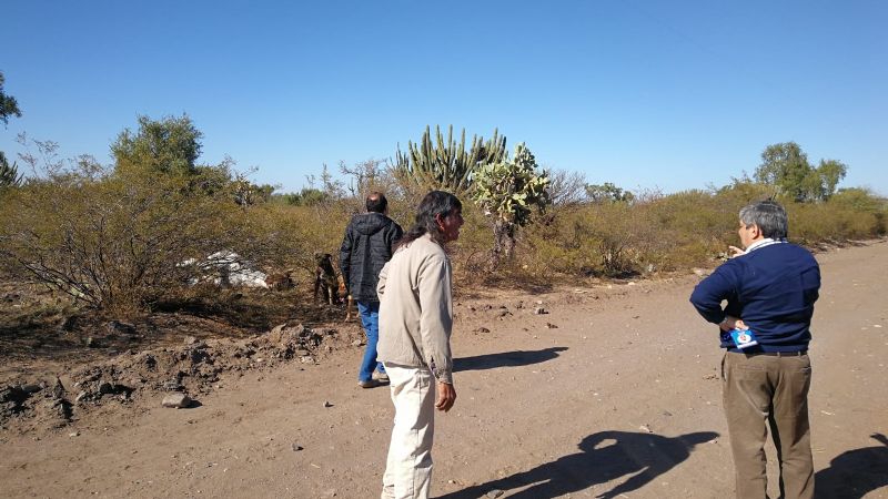 Sufrió graves heridas por un cable de la EC Sapem