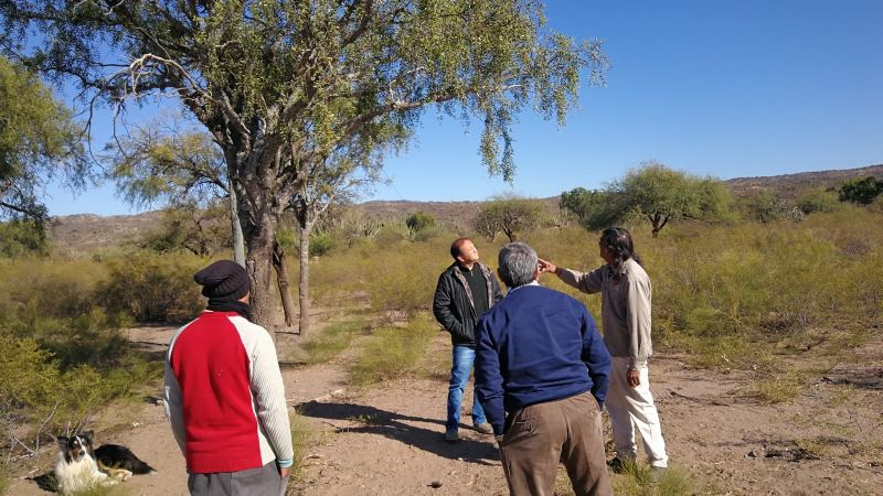 Sufrió graves heridas por un cable de la EC Sapem