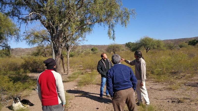 El EnRe realizó un relevamiento donde un hombre se electrocutó con un cable de luz