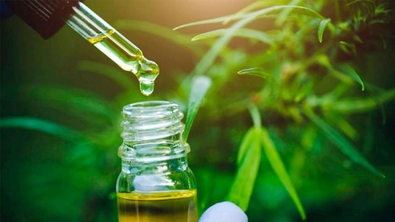 Se promulgó la Ley de Cannabis Medicinal: los detalles de la norma