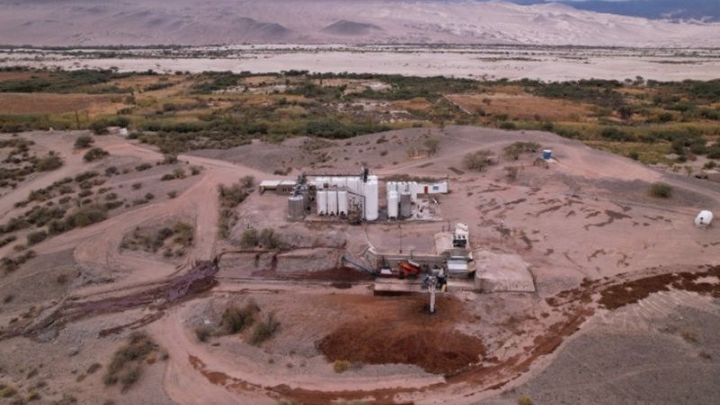 Fiambalá fue el que mejor pagó la uva cereza del país