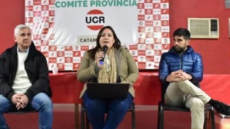 Radicales debatieron proyectos legislativos