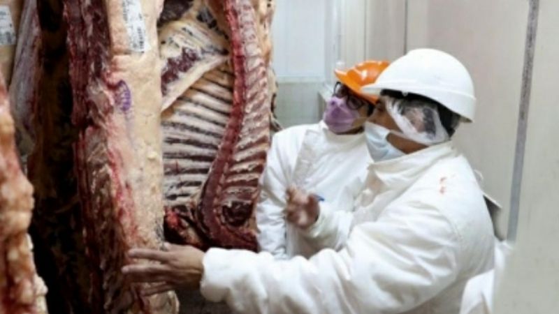 El Gobierno busca incrementar la producción de carne en 600.000 toneladas