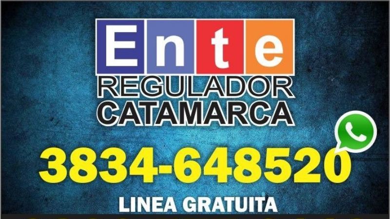 Forma de acceso a la Audiencia Pública por el VAD