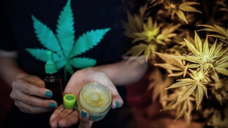 Diputados convirtió en ley el desarrollo del cannabis medicinal