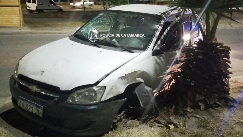 Chocó contra una palmera