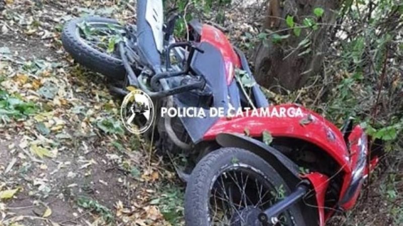 Robaron una moto y la ocultaron entre la maleza