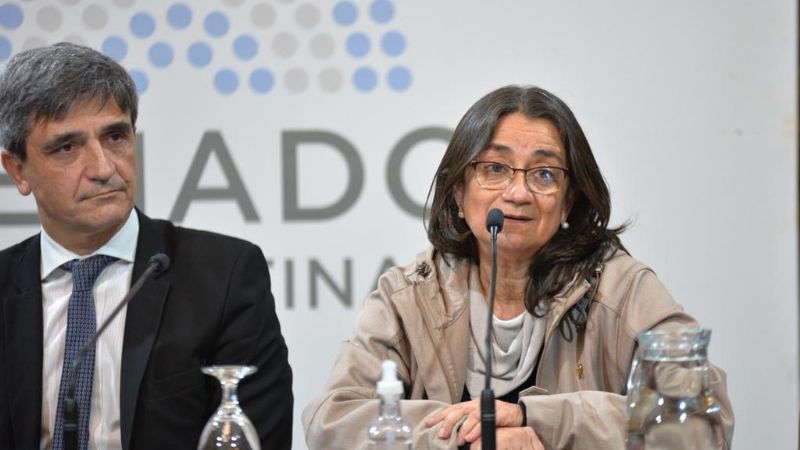 Corpacci en la comisión de salud