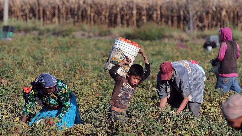 El RENATRE detectó trabajo infantil y trabajo adolescente no protegido en Catamarca