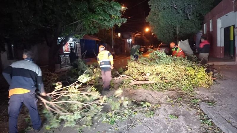 Problemas por el viento