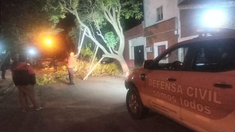 Problemas por el viento