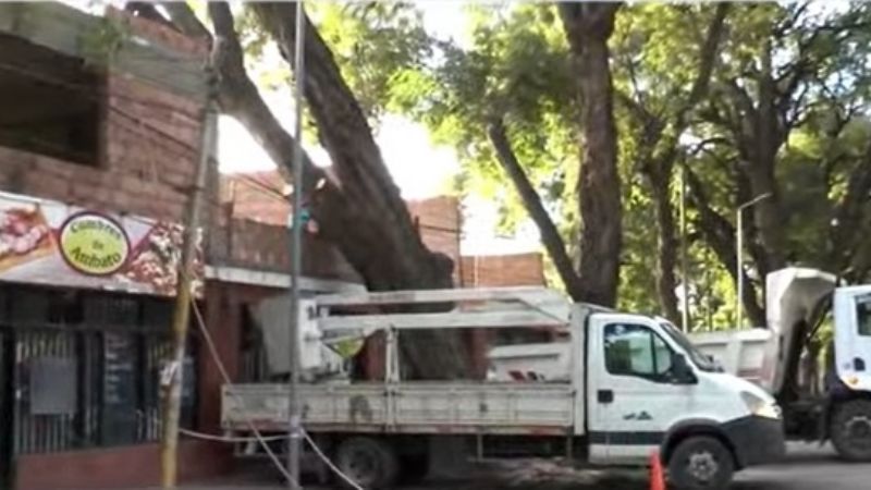 Cedió una tipa de gran tamaño en avenida Presidente Castillo