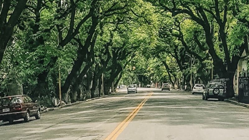 Finalizaron las obras en la Avenida Presidente Castillo