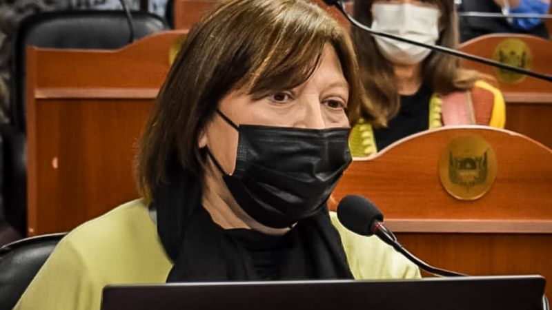 Paisaje de Catamarca, cada vez más cerca de convertirse en himno cultural