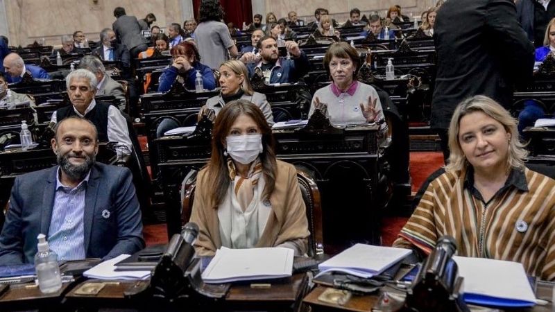 Media sanción para ley que garantiza fondos culturales