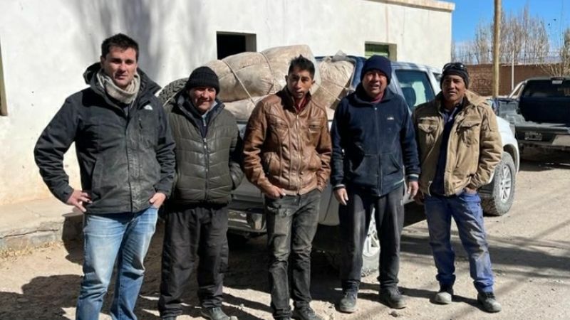 Cooperativa catamarqueña vendió fibra de vicuña a una reconocida empresa nacional