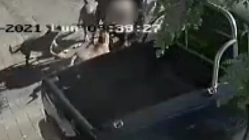 Seis años y medio de prisión para dueño de tres perros que mutilaron a un hombre