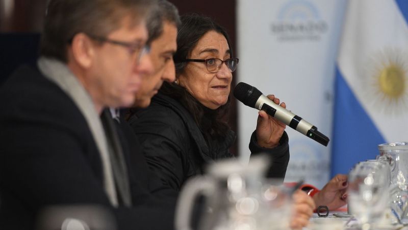 Corpacci pidió por el corredor bioceánico