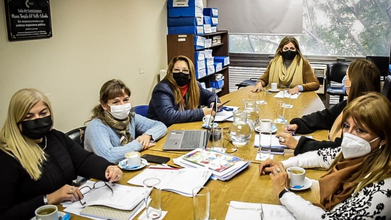 Luz verde en Diputados a distintas propuestas en materia sanitaria